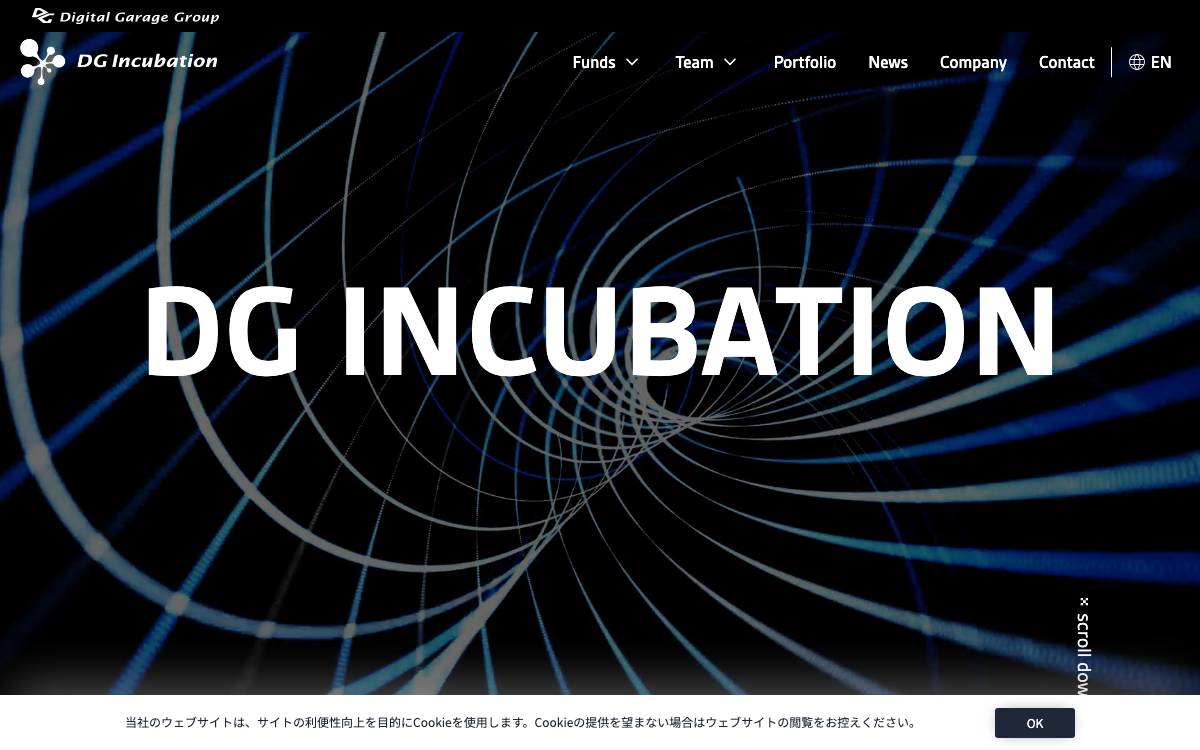 DG Incubation website preview