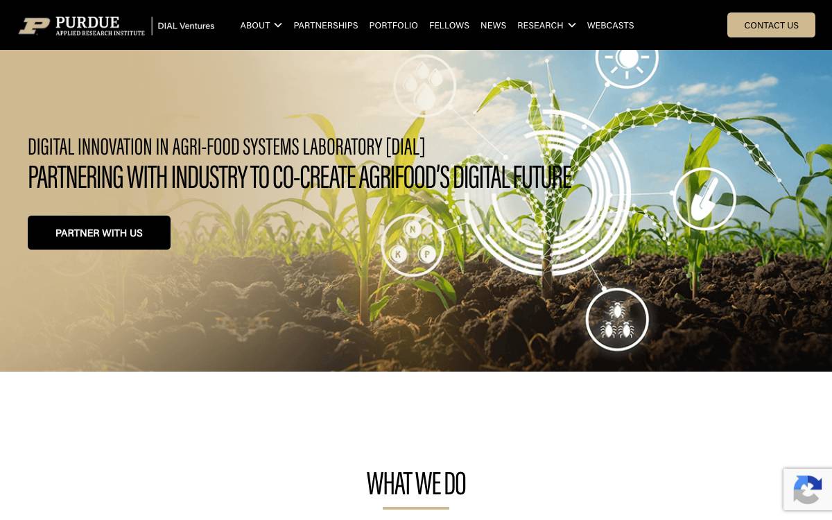 Dial Ventures website preview