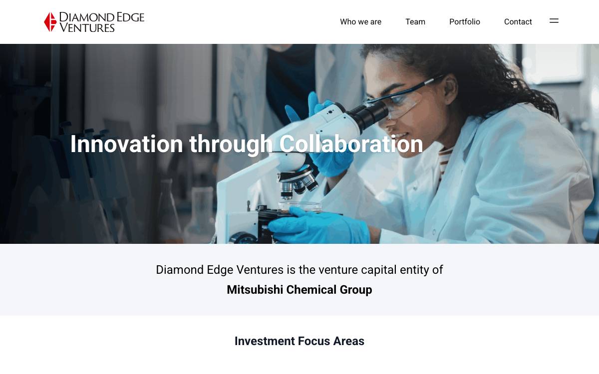 Diamond Edge Ventures website preview