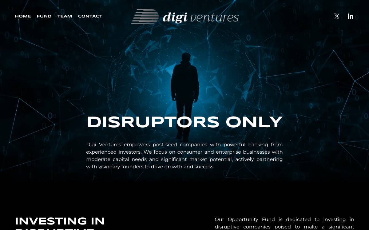 Digi Ventures website preview