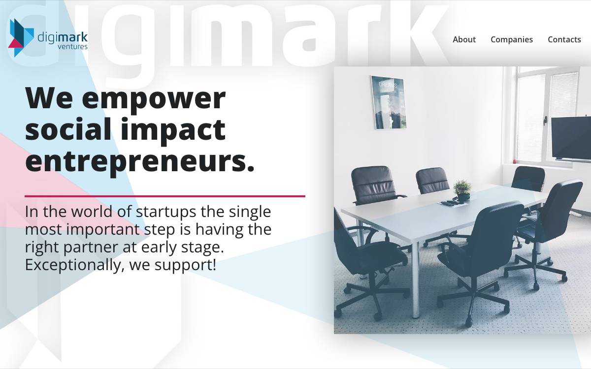 DigiMark Ventures website preview