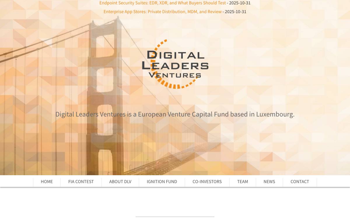 Digital Leaders Ventures website preview