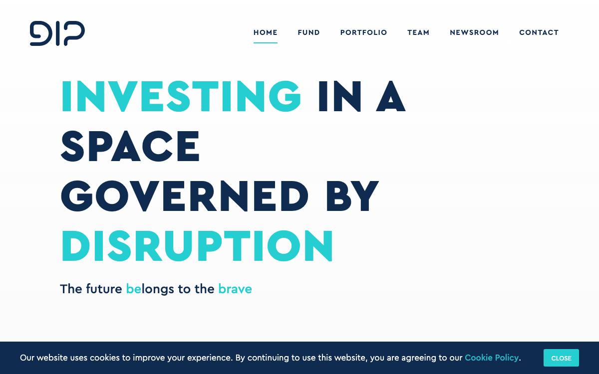 DIP Capital website preview