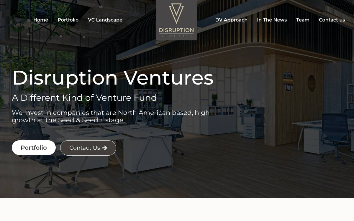 Disruption Ventures website preview