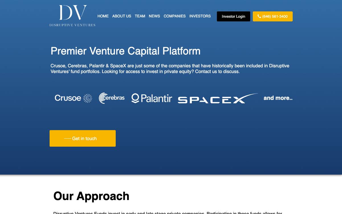 Disruptive Ventures website preview