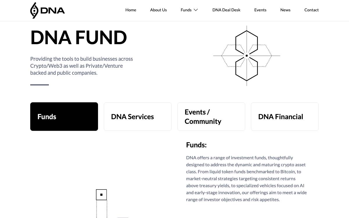 Distributed Network Advisors website preview