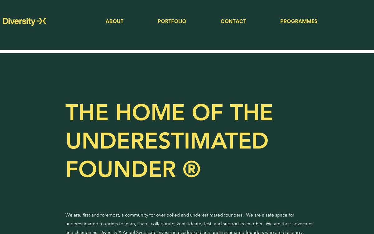 Diversity X website preview