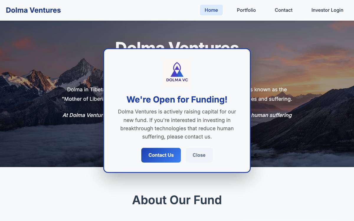 Dolma Ventures website preview