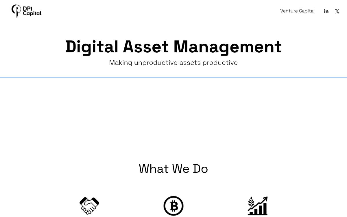 DPI Capital website preview