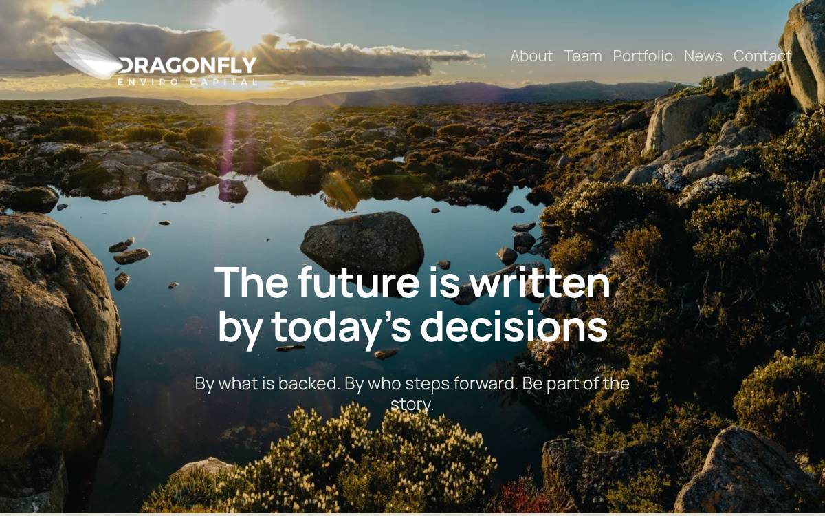 Dragonfly Enviro Capital website preview