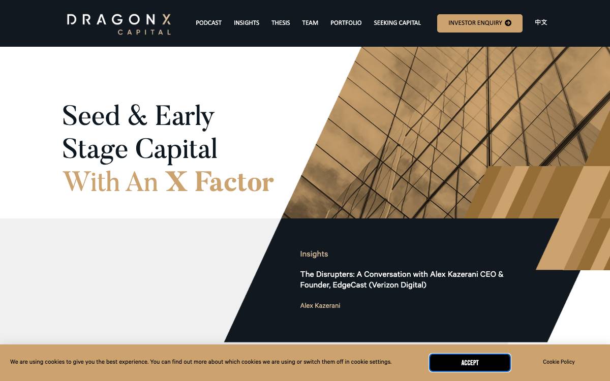DragonX website preview