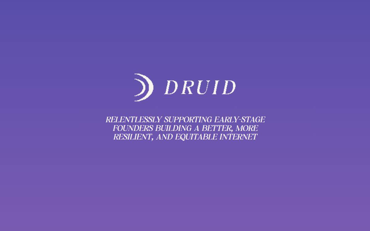 Druid Ventures website preview