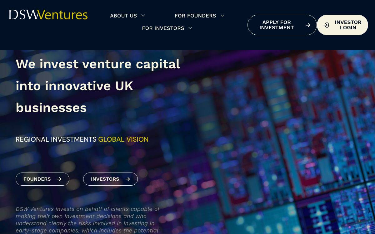 DSW Ventures website preview