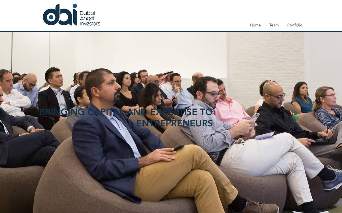 Dubai Angel Investors website preview