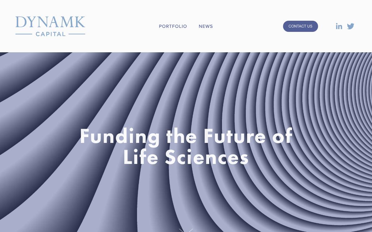 Dynamk Capital website preview