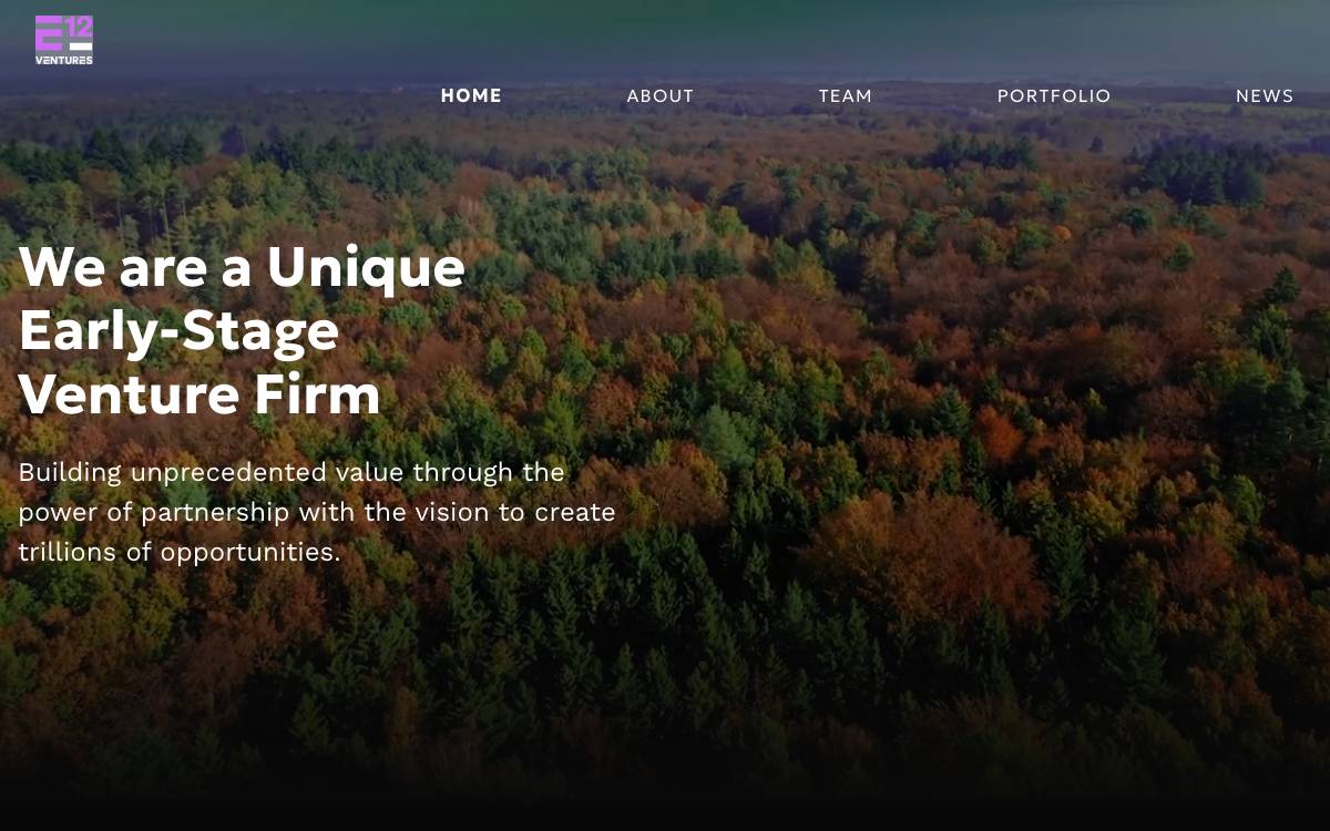 E12 Venture Capital, Llc website preview