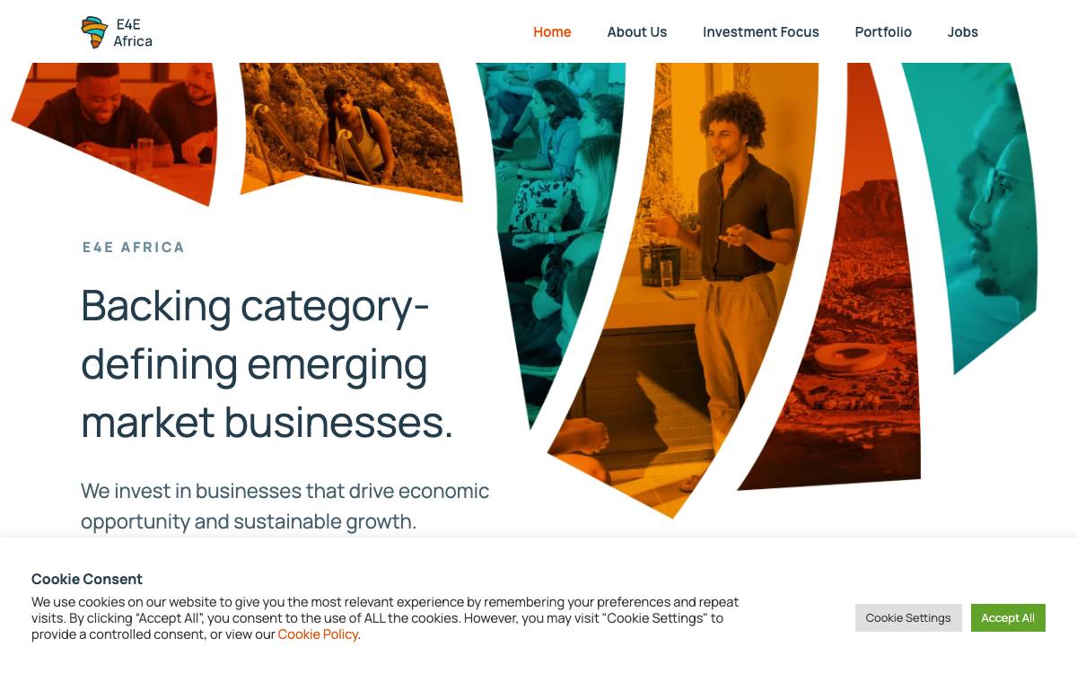E4E Africa website preview