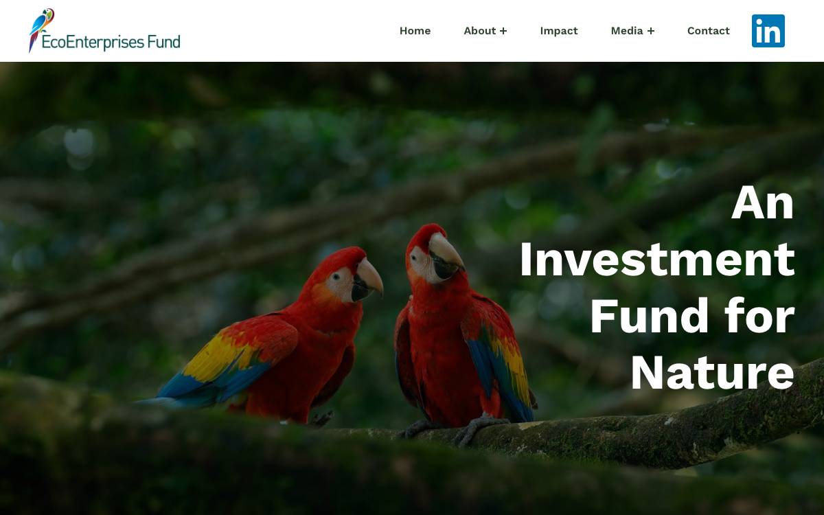 EcoEnterprises Fund website preview
