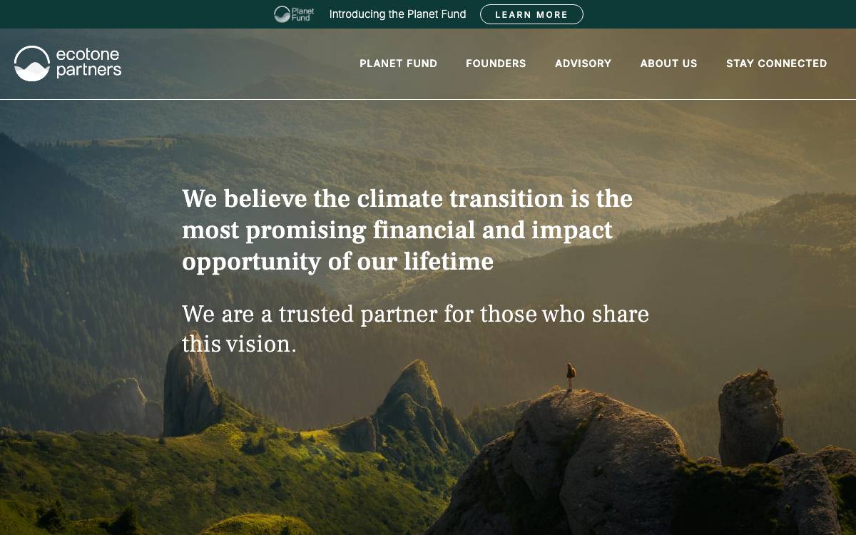 Ecotone Partners website preview