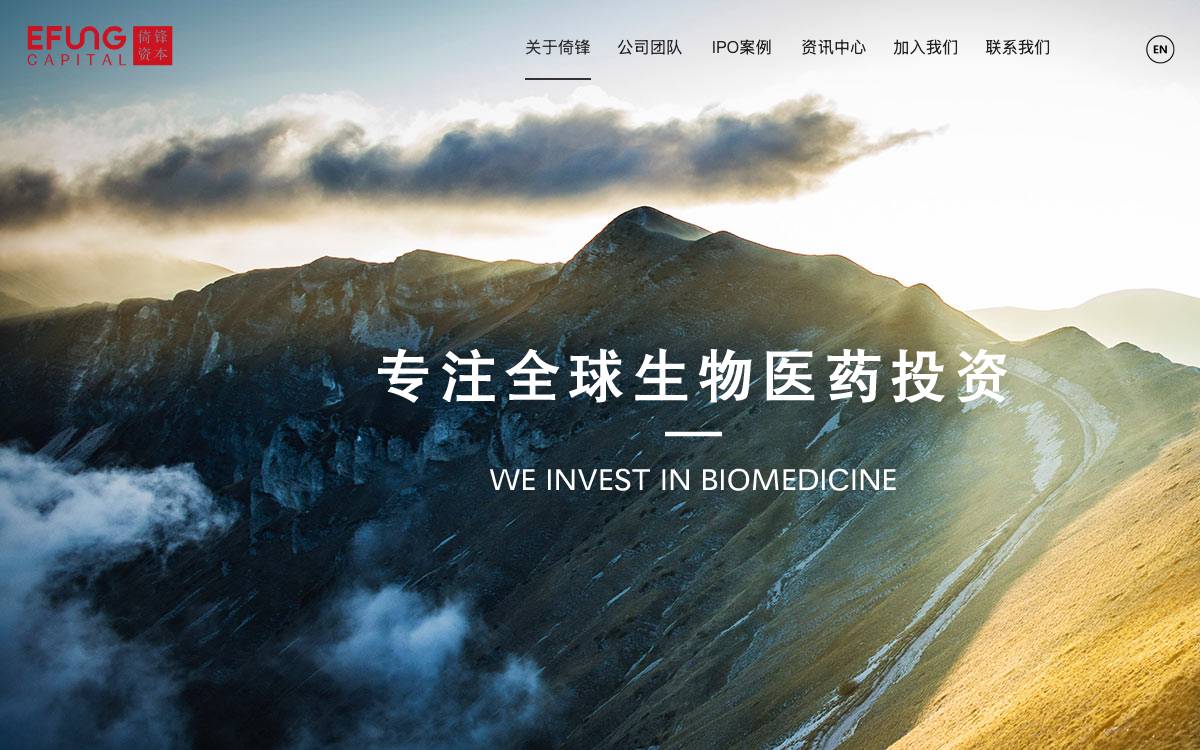 EFung Capital website preview
