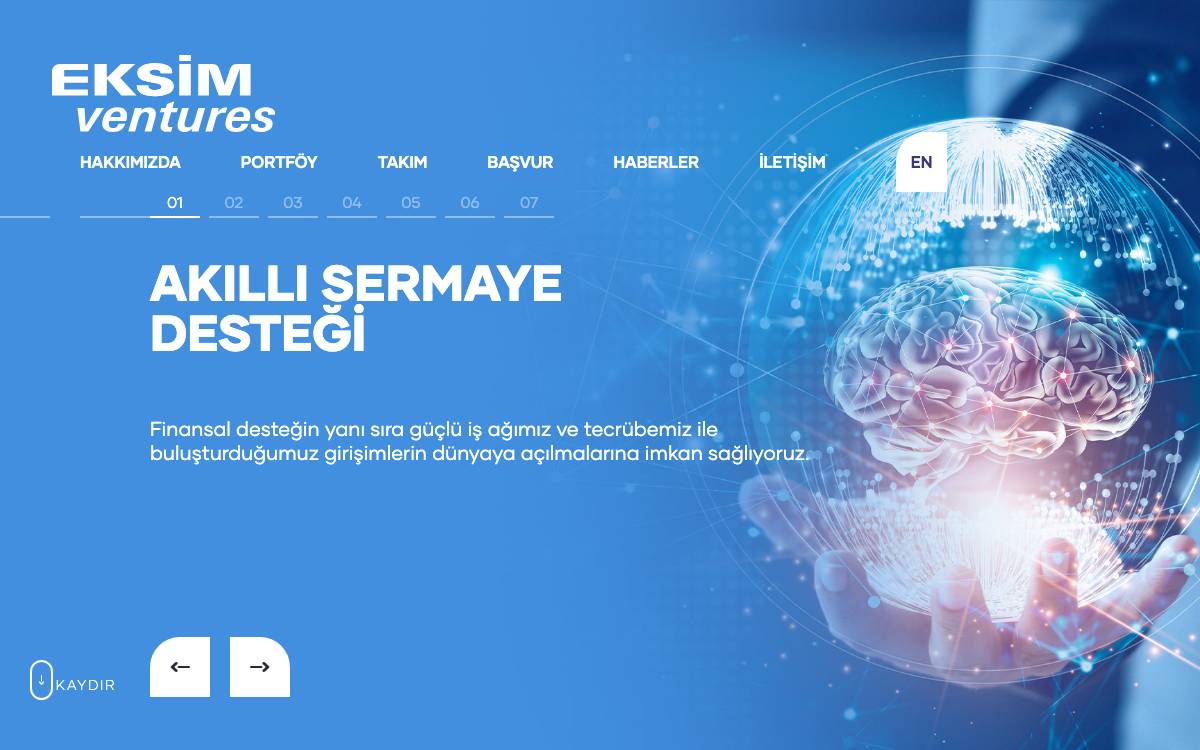 Eksim Ventures website preview