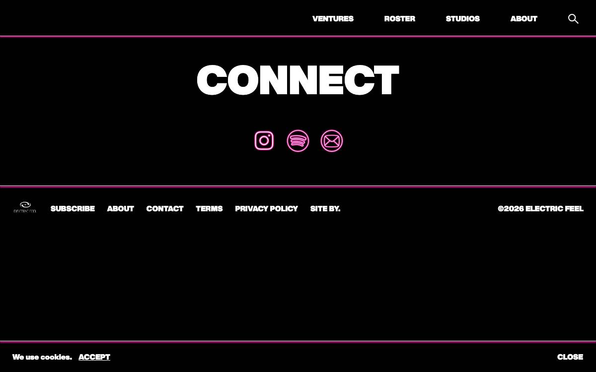 Electric Feel Ventures Llc website preview