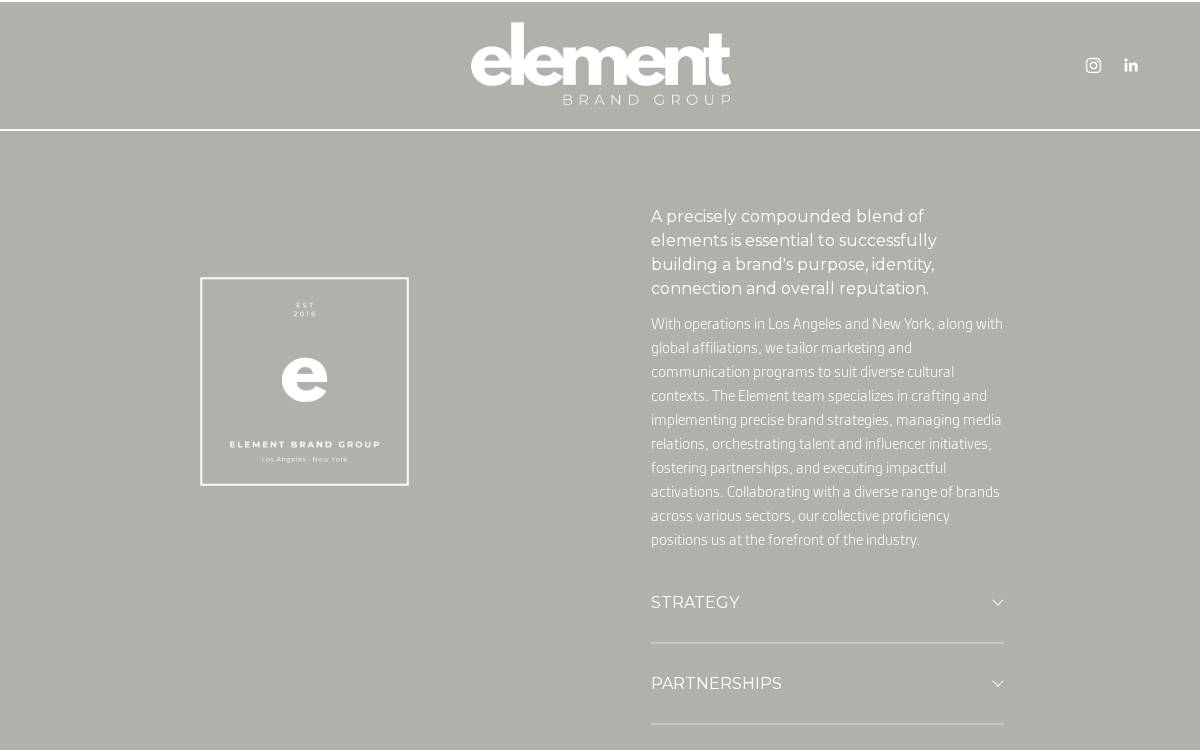 Element Brand Group website preview