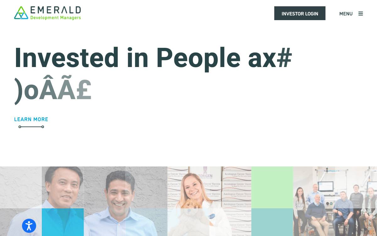 Emerald Development Managers website preview