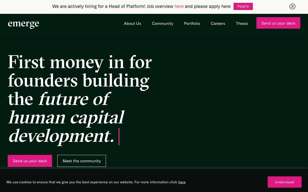 Emerge website preview