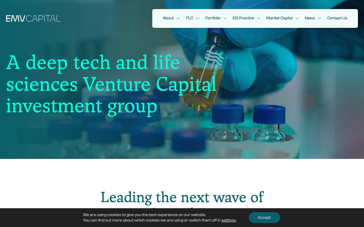 EMV Capital website preview