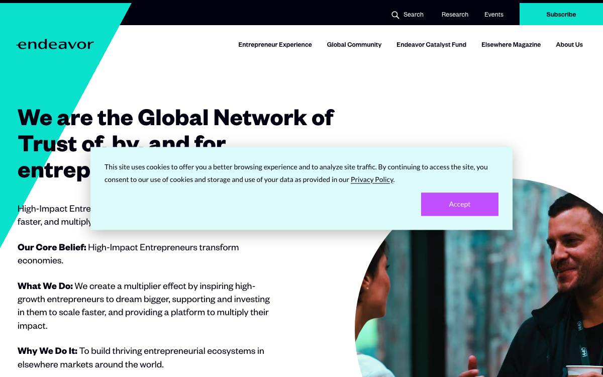 Endeavor Catalyst website preview