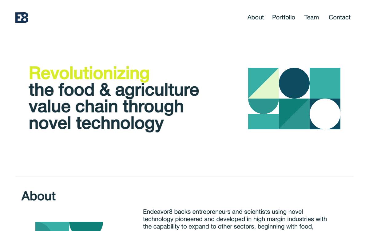 Endeavor8 website preview