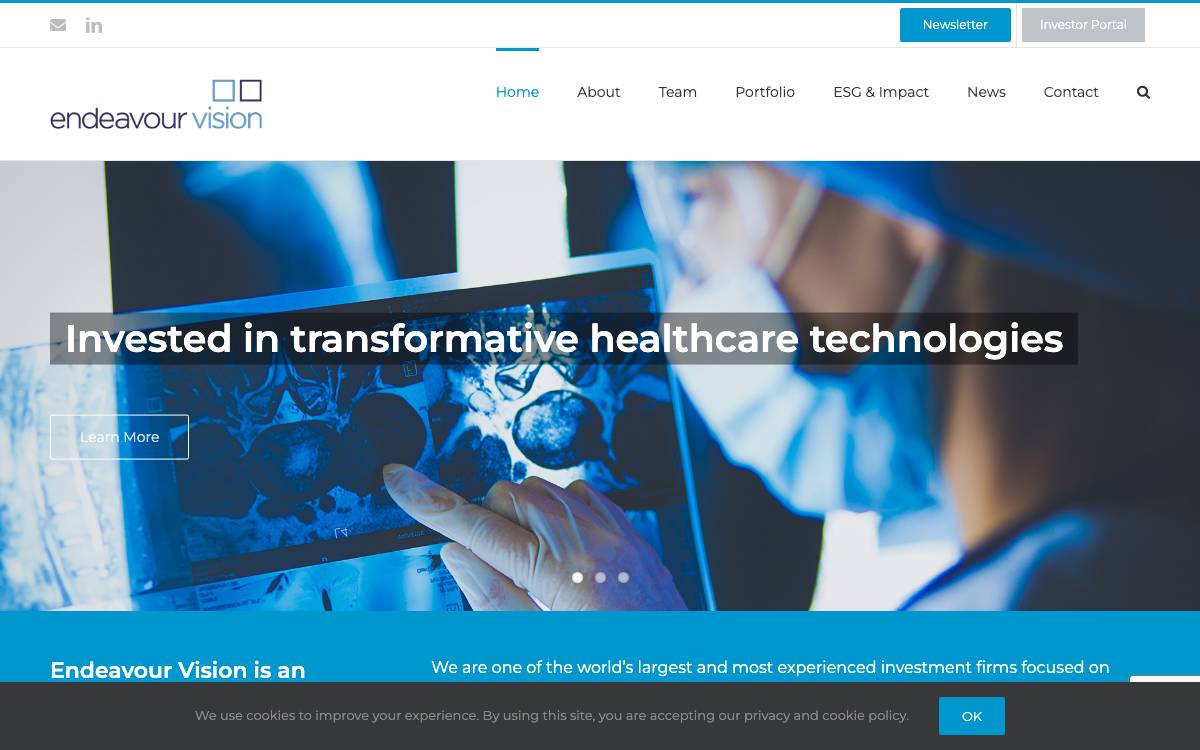 Endeavour Vision website preview