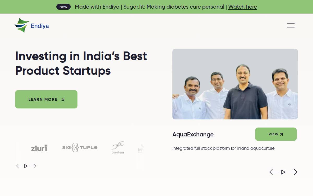 Endiya Partners website preview