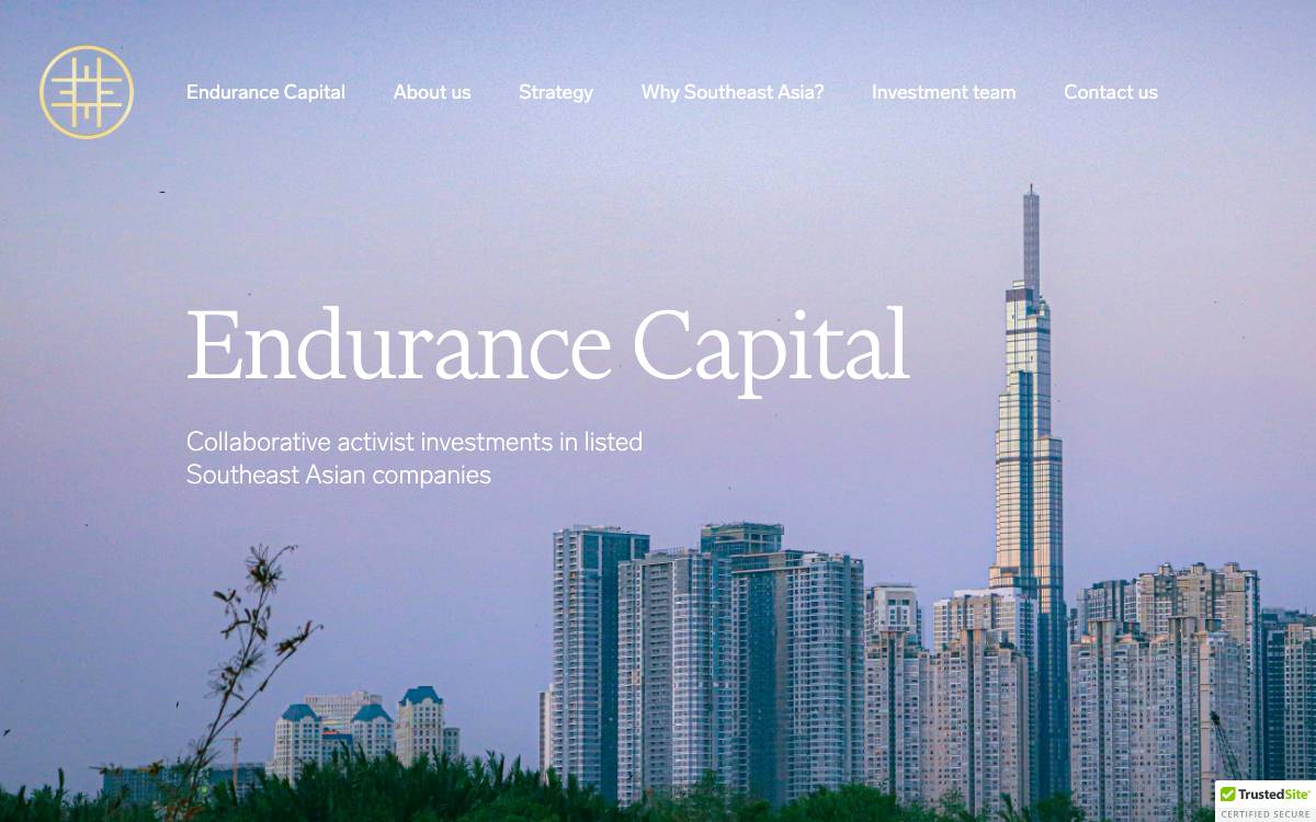 Endurance Capital website preview