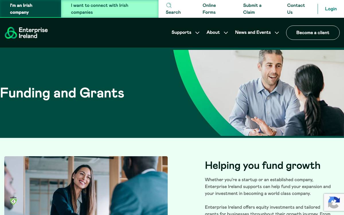 Enterprise Ireland website preview