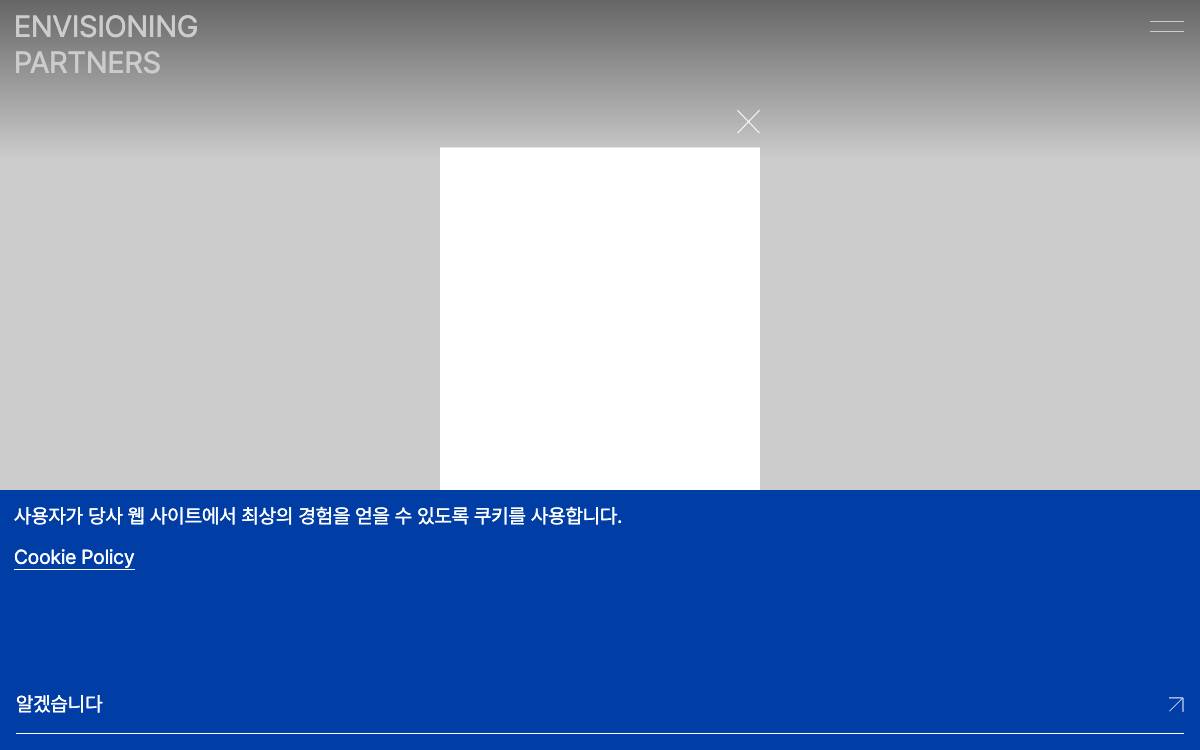 Envisioning Partners website preview