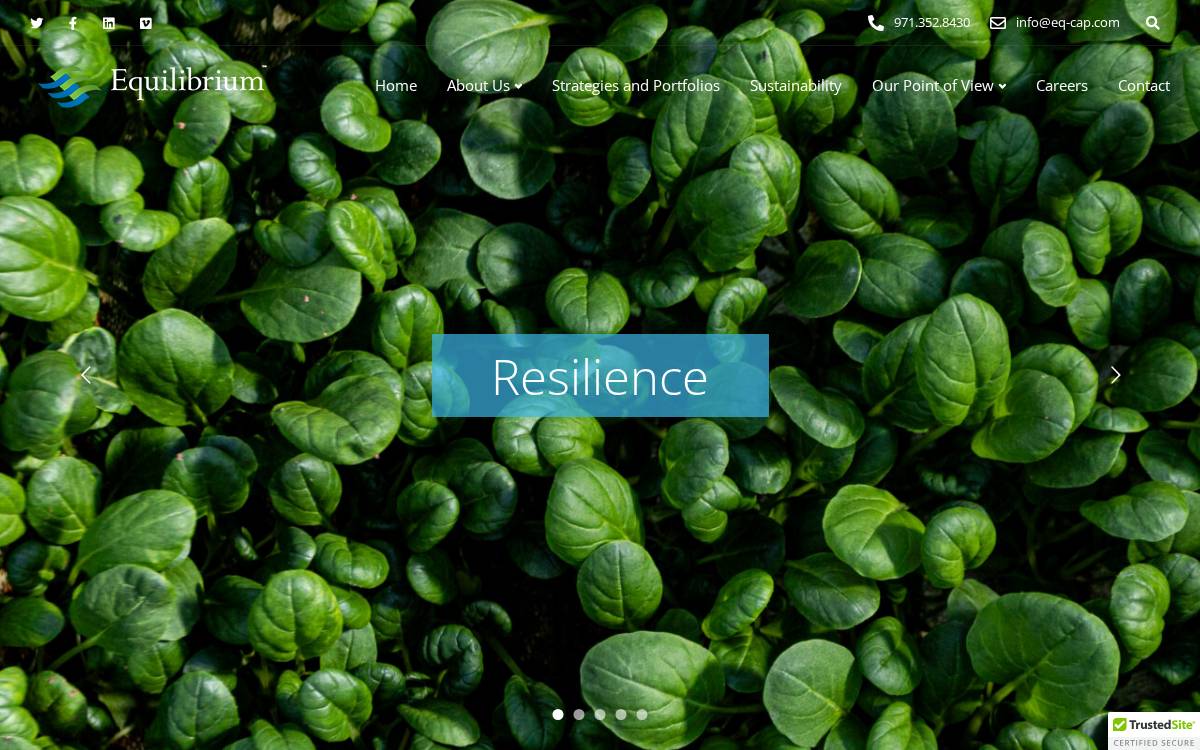 Equilibrium Capital website preview