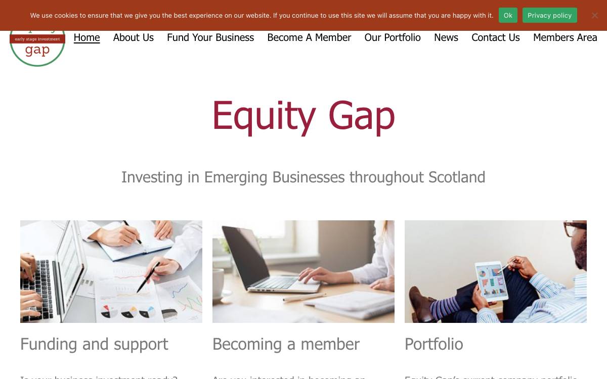 Equity Gap website preview
