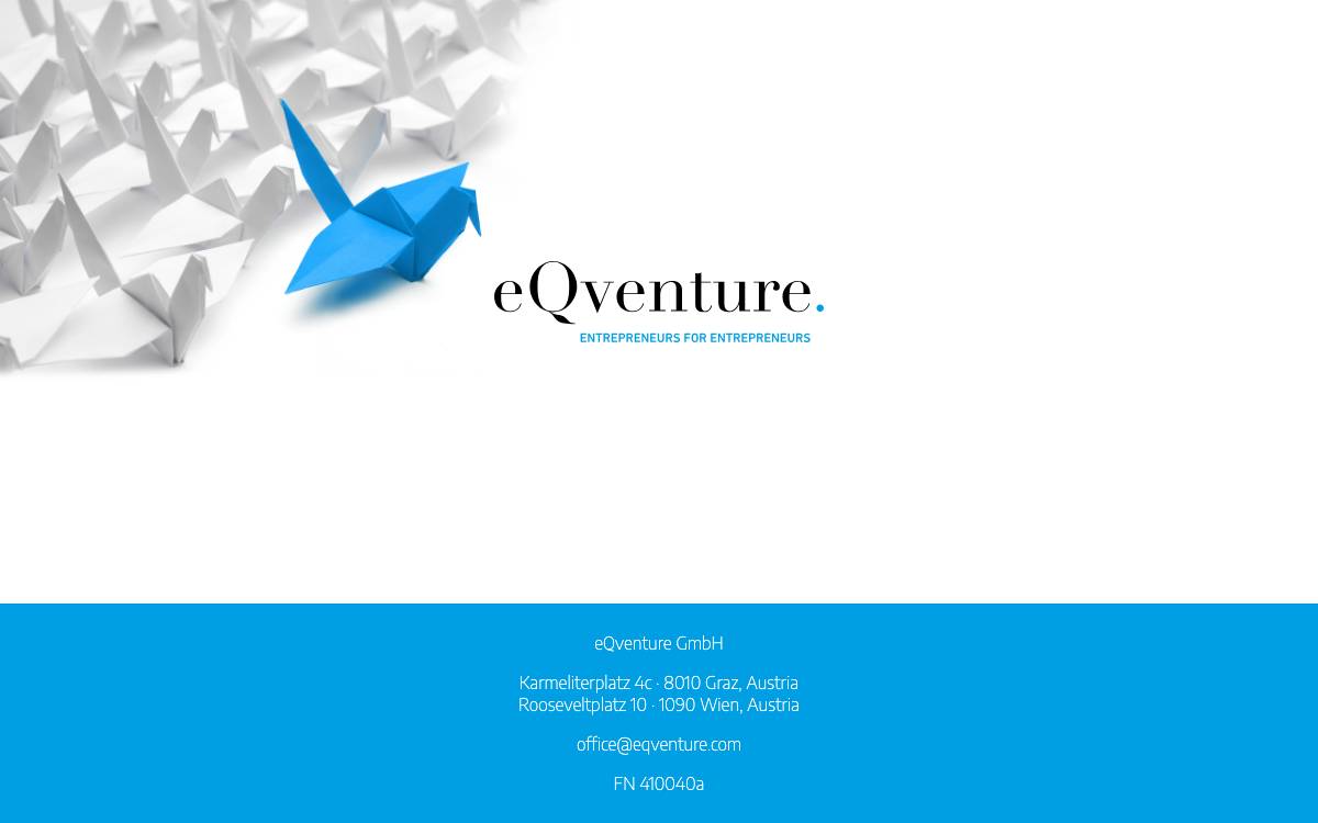 eQventure website preview