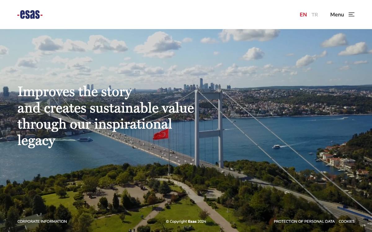 Esas Holding website preview