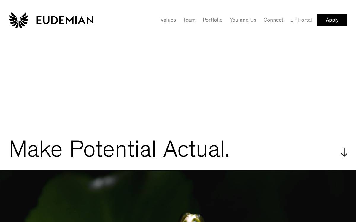 Eudemian Ventures website preview