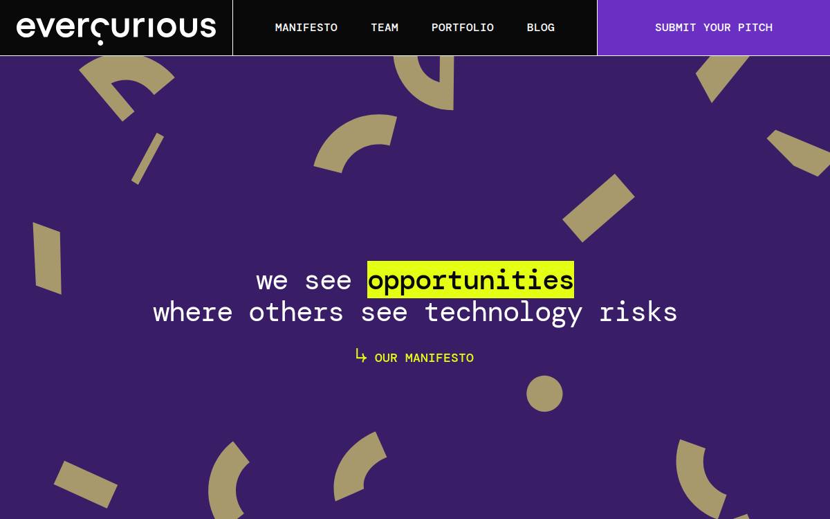 EvercuriousVC website preview