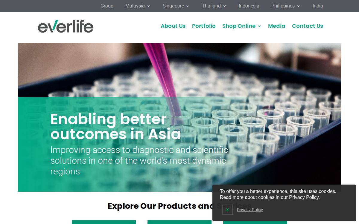 Everlife website preview