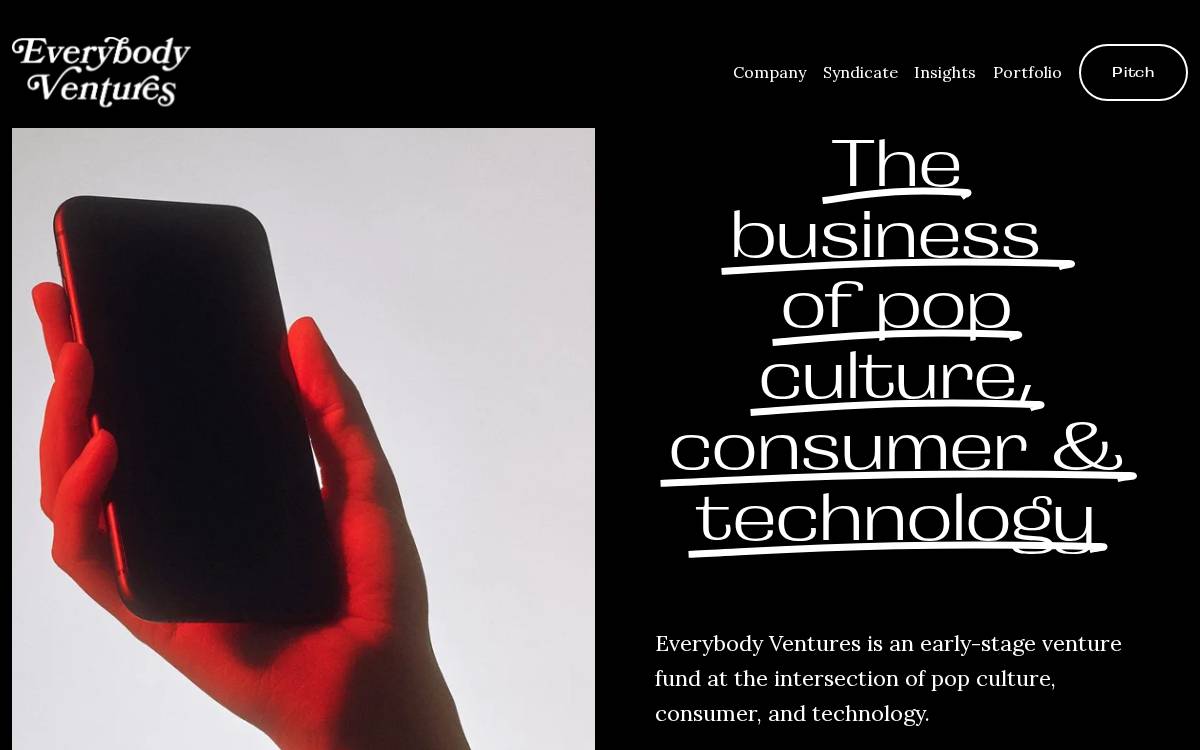 Everybody Ventures website preview