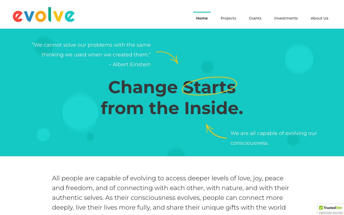 Evolve Ventures website preview