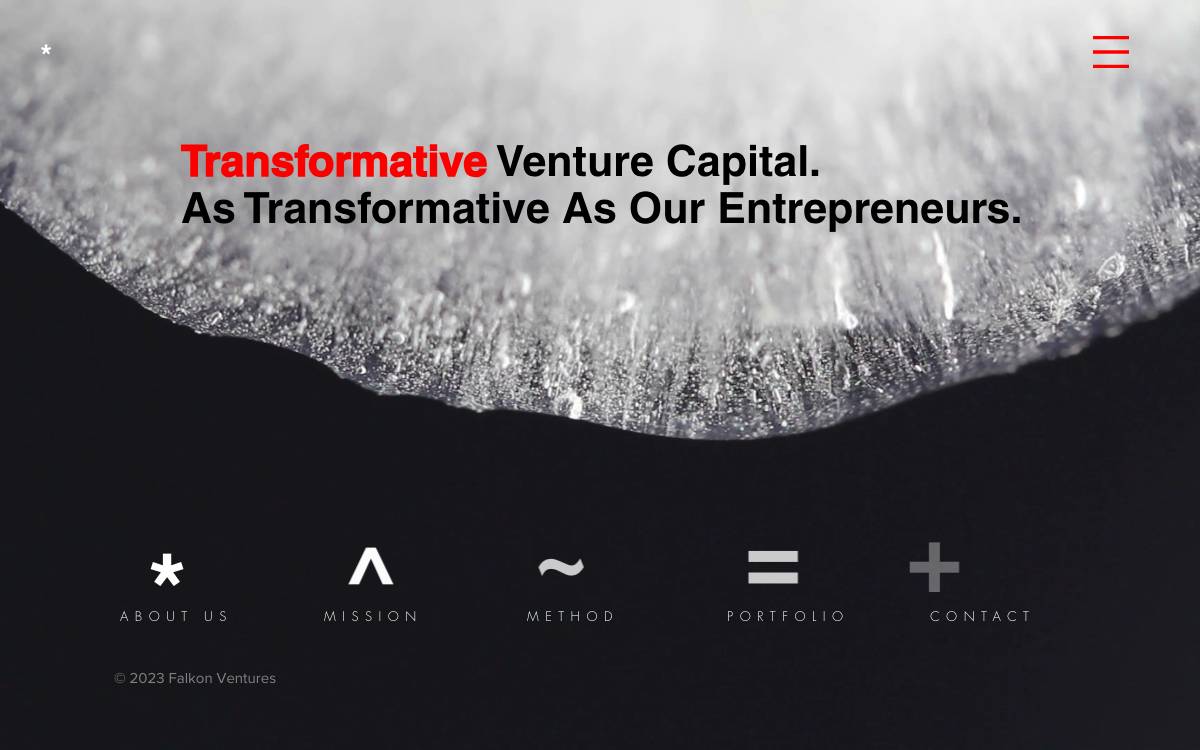 Falkon Ventures website preview