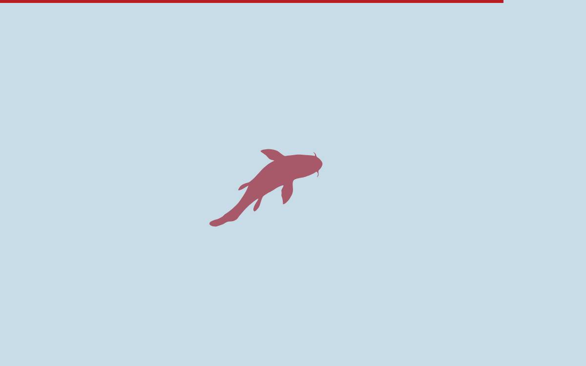 Fast Track Initiative website preview
