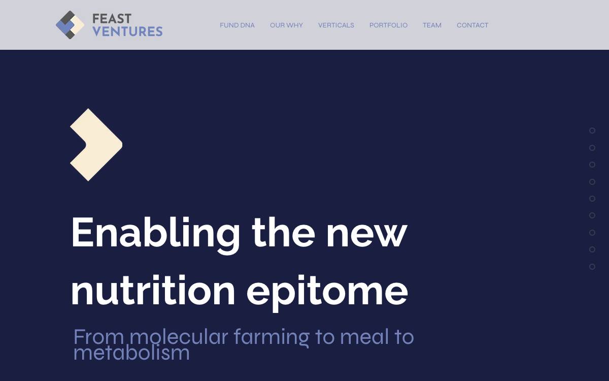 Feast Ventures website preview