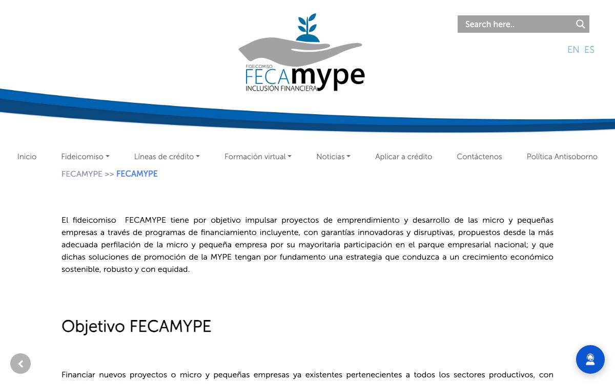 FECAMYPE website preview